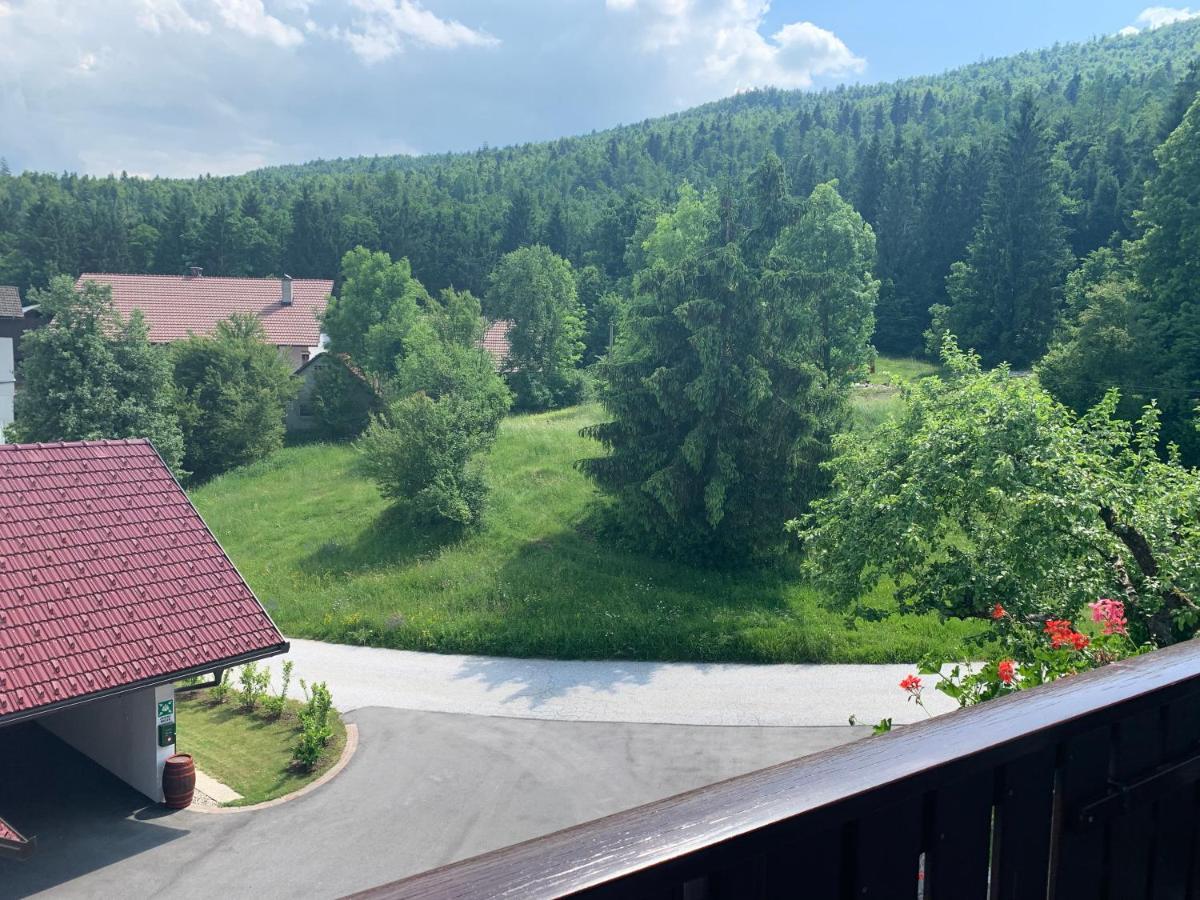 Žigon Bed&Breakfast Logatec Exterior foto