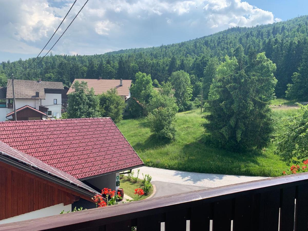 Žigon Bed&Breakfast Logatec Exterior foto